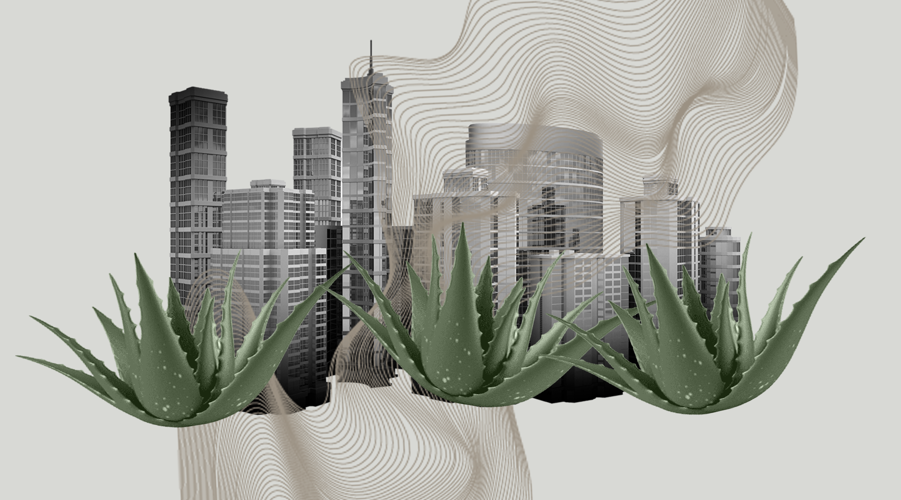 Aloe Vera: Hidratação, Calmante e Regeneração para Pele e Cabelo