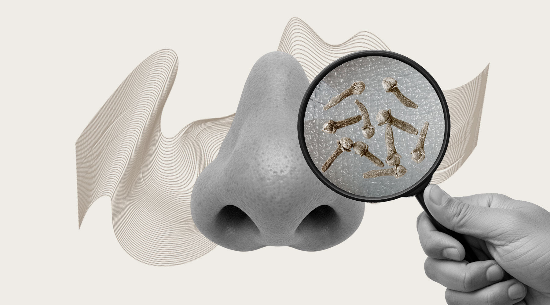 Cravos no nariz: o que funciona de verdade (e o que só irrita)