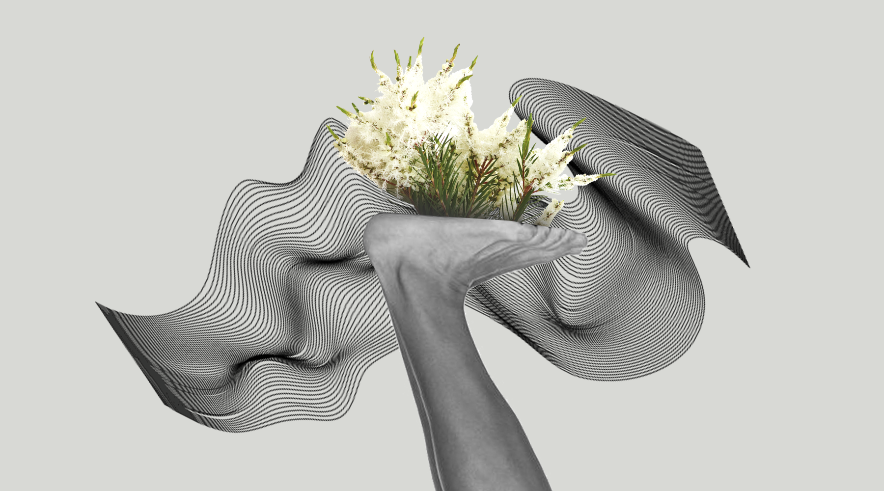 Extrato de Melaleuca: O Segredo para uma Pele Livre de Imperfeições