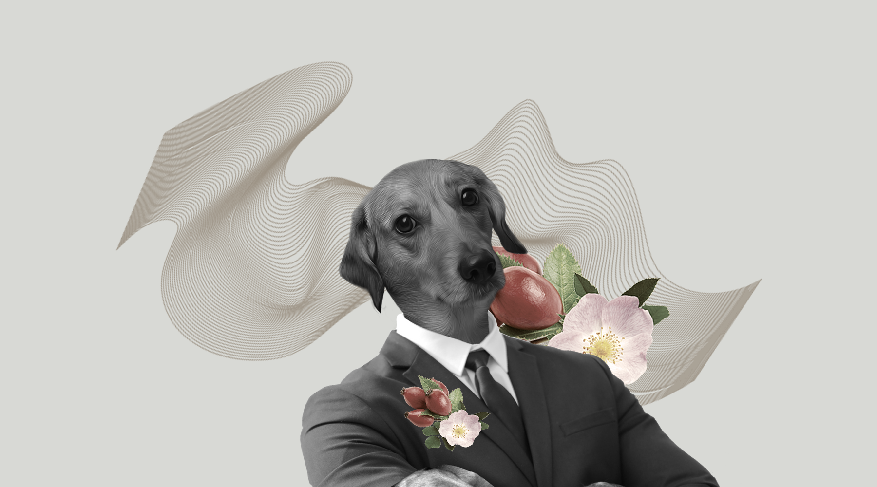 Descubra os Segredos do Óleo de Rosa Canina para uma Pele Masculina Revitalizada