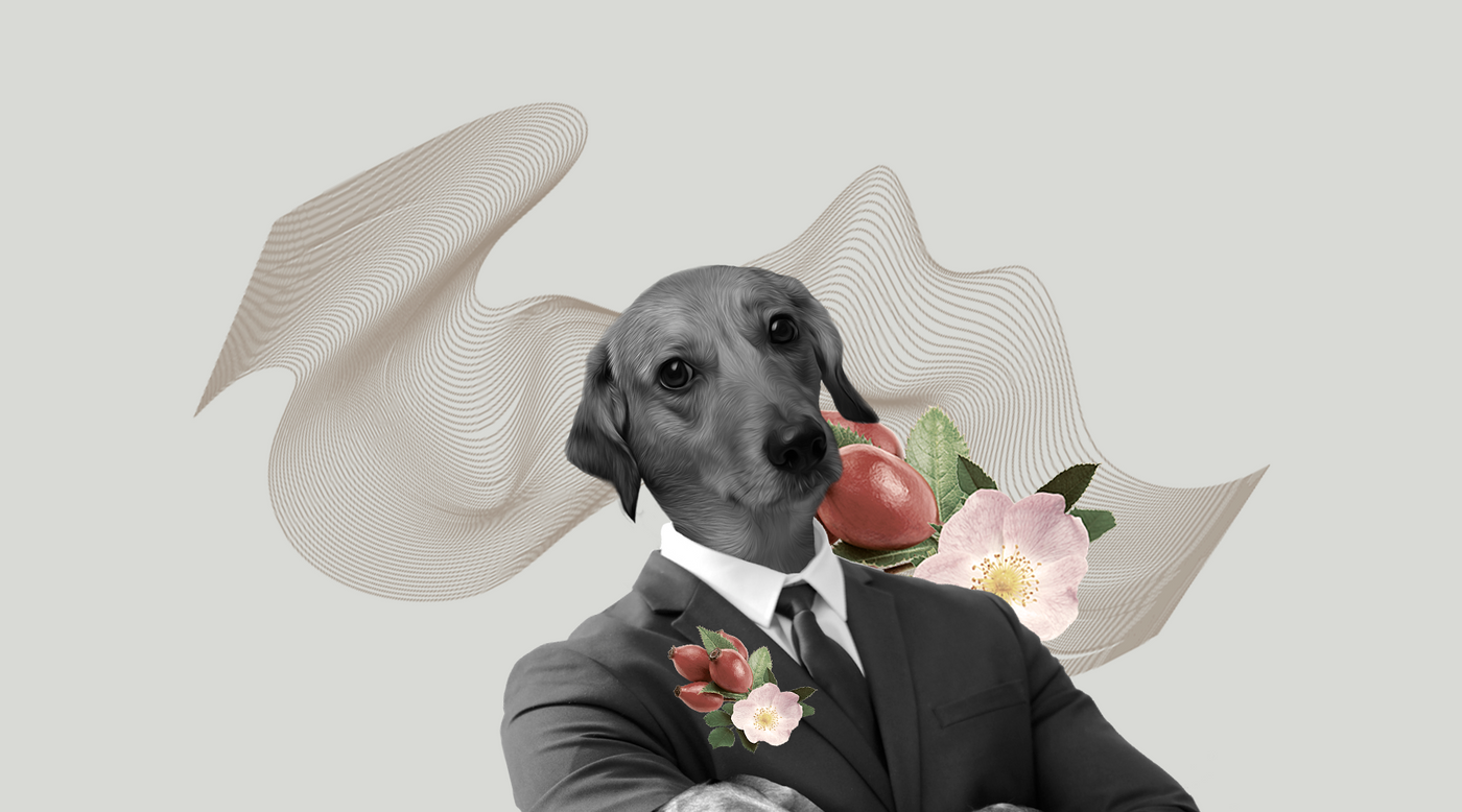 Descubra os Segredos do Óleo de Rosa Canina para uma Pele Masculina Revitalizada